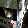 img_0163