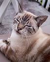 crw_6437