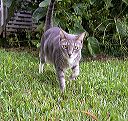 crw_6439