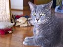 crw_6545