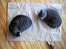 img_8425