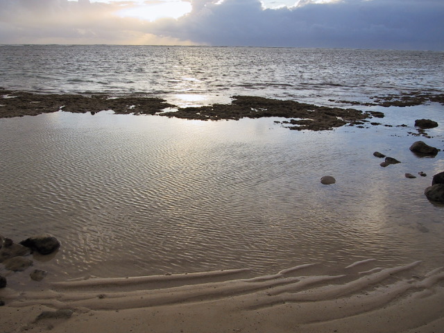 kaaawa_reef