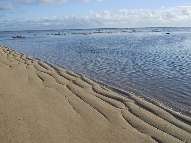 low_tide