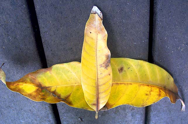 crw_9315
