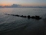 img_1615