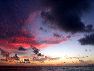 crw_6838