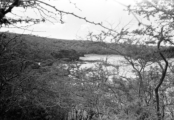 untitled-47