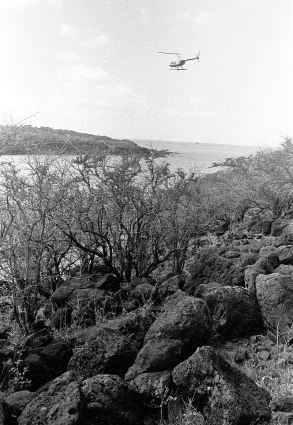 untitled-48