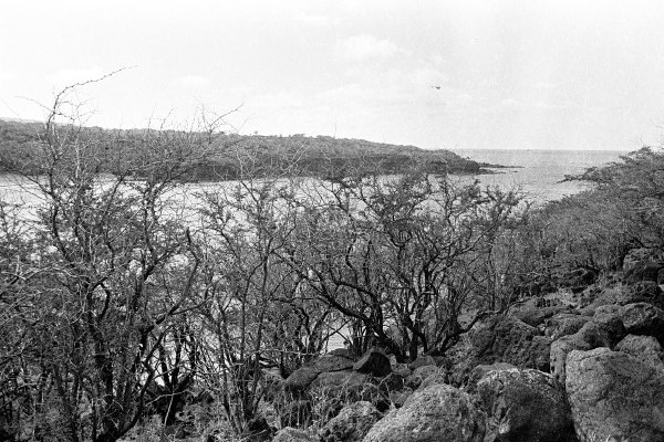 untitled-50