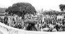 marchapr71_037
