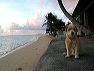 img_0935
