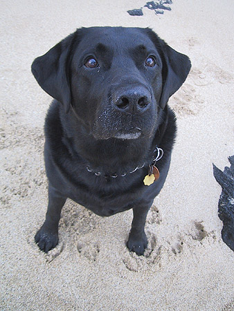 axel
