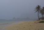Rainy morning