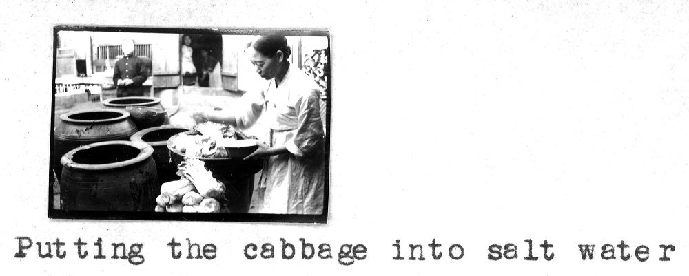 cabbage14.jpg