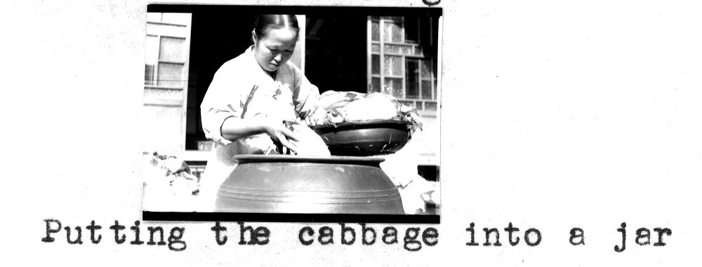 cabbage24.jpg