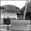 convoy-6