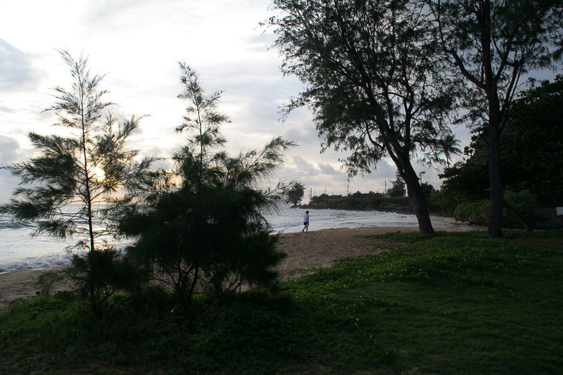 img_6822.jpg
