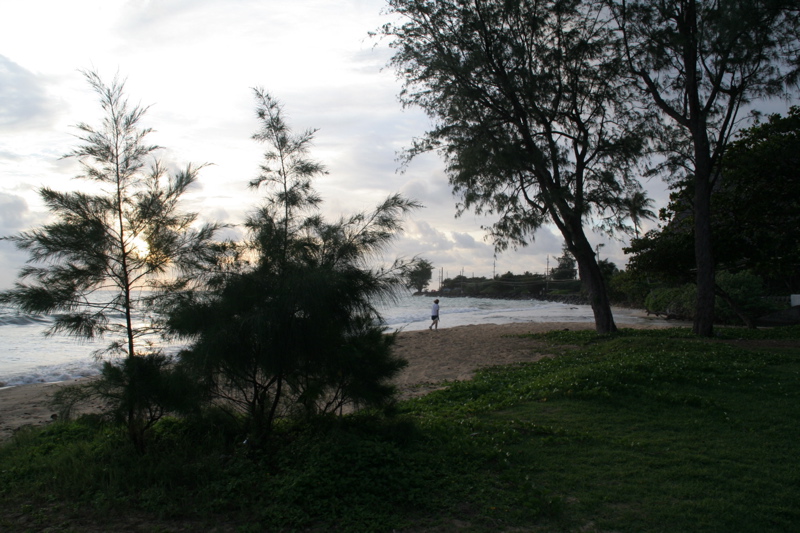 img_6822.jpg